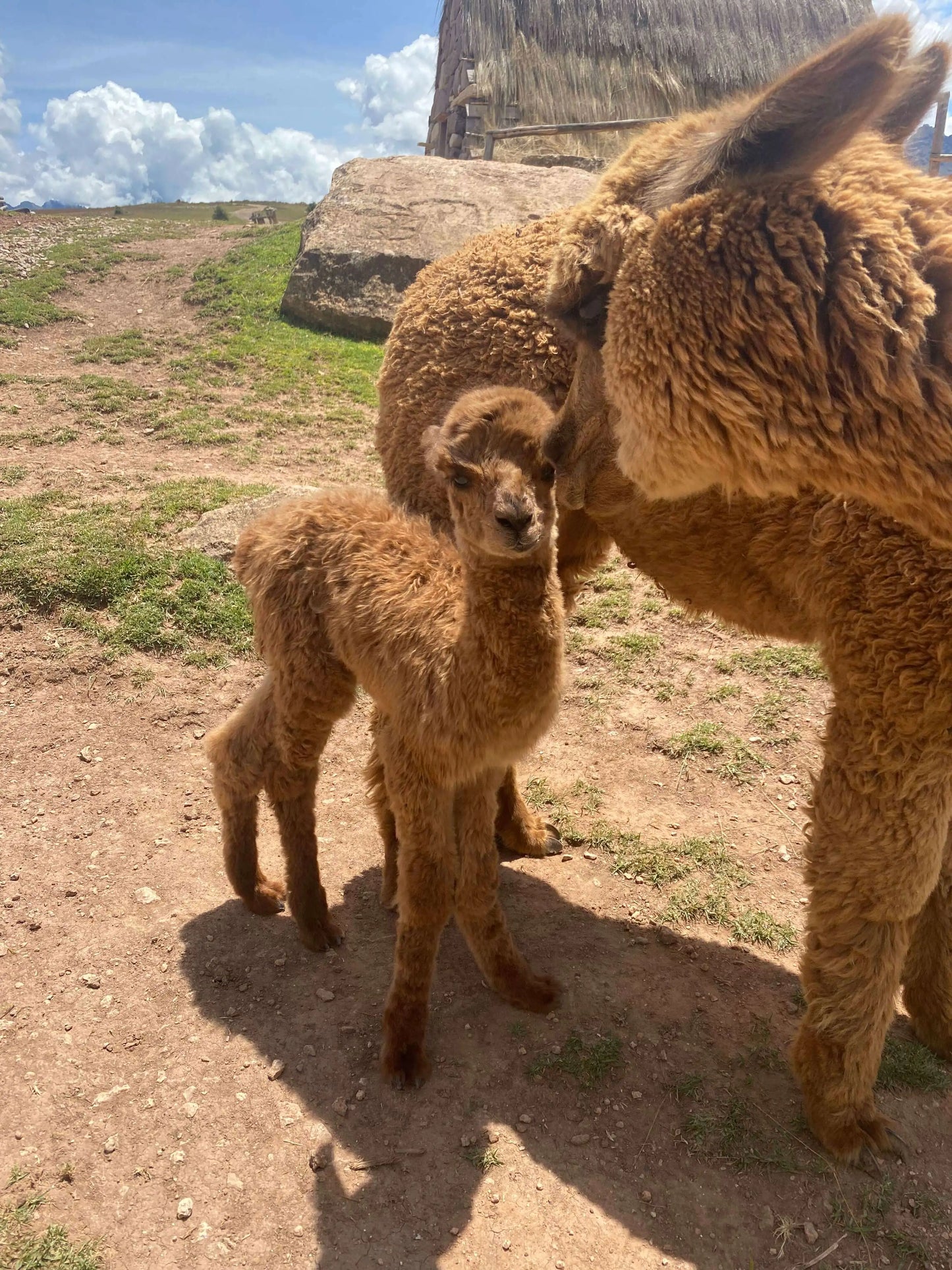 Retraite au Pérou pour femmes