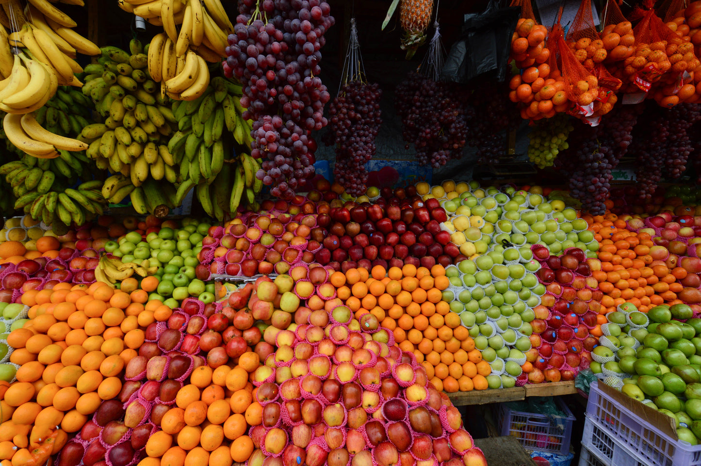 Retraite spirituelle au Sri Lanka